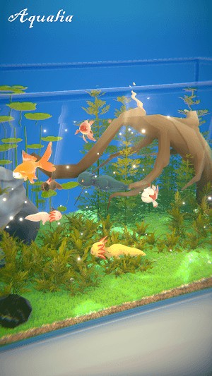 Nuôi nhiều loài cá khác nhau