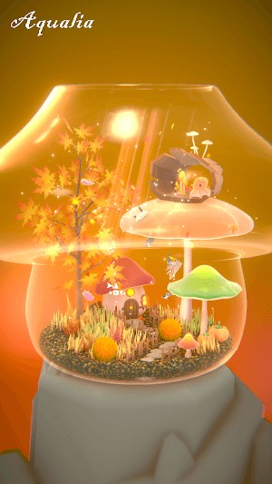 Sở hữu bể cá mơ ước