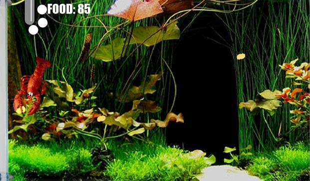 Chăm sóc cá và thư giãn cùng Aquarium Life game