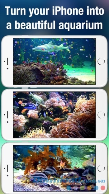Biến iPhone/iPad thành bể cá tuyệt đẹp với Aquarium Live
