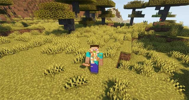 Mục tiêu của Arcana Flavor Mod là mang đến nhiều lựa chọn thức ăn hơn cho người chơi