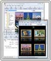 Arles Image Web Page Creator 7.4.3 - Download & Review