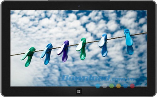 Art of the Everyday Dynamic theme