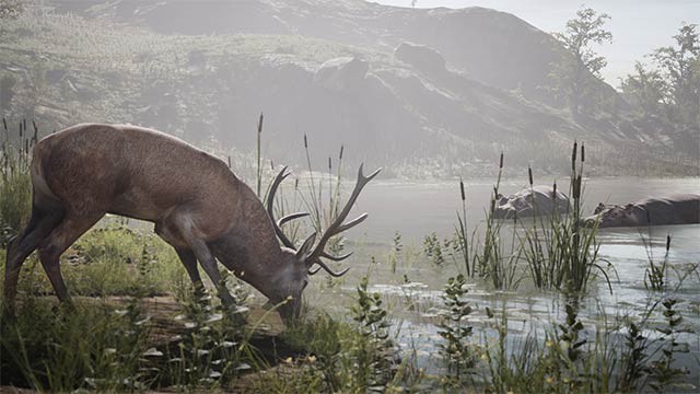 Dành thời gian phiêu lưu khám phá thế giới mở sinh động, chứa đầy bí ẩn