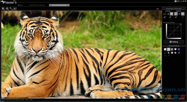 Loại bỏ bớt lông hổ trên ảnh với Ashampoo CutOut