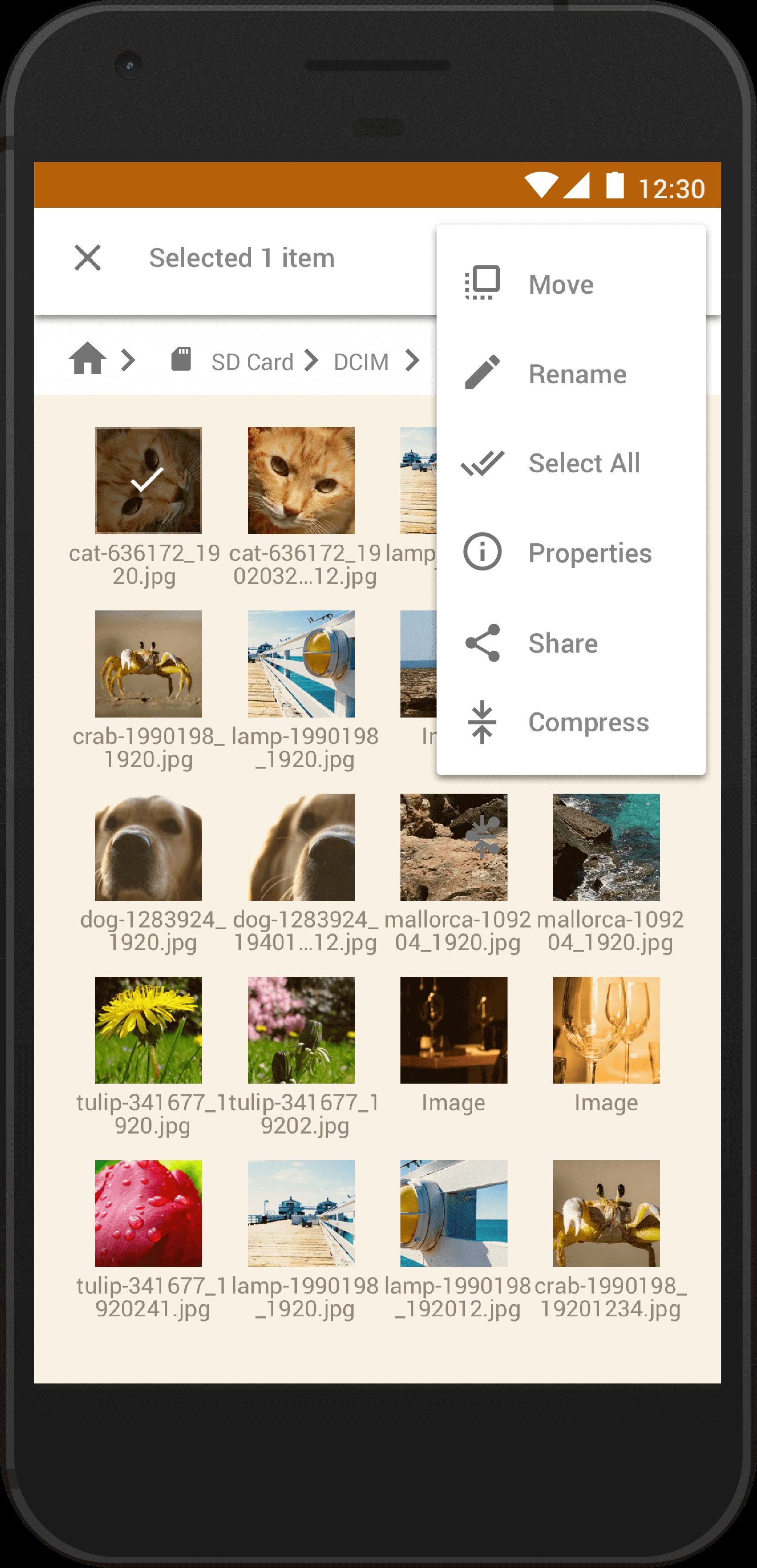 Hình ảnh Astro File Manager