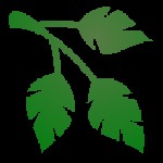 AutoPlant Mod Minecraft: Trồng Cây Tự Động