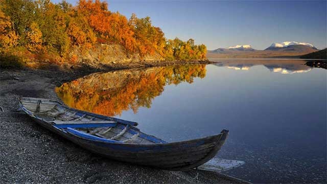 Hình nền mùa thu vàng