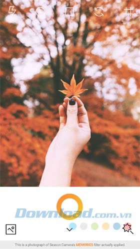 Gam màu ấm áp của mùa thu