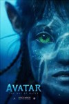 Avatar 2: Dòng chảy của nước - Xem phim tại rạp