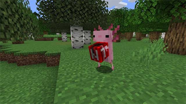 Những thực thể dễ thương trong Mod Axolotls khá thân thiện