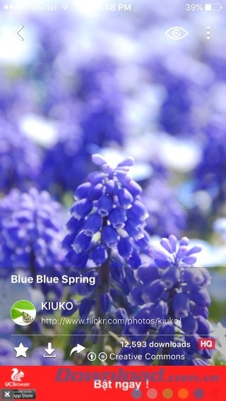 Hình nền chất lượng cao