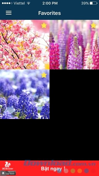 Quản lý hình nền yêu thích