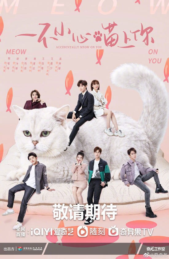 Poster phim Bất Cẩn Meow Phải Anh