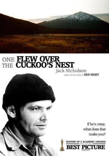 One Flew Over the Cuckoo s Nest 14