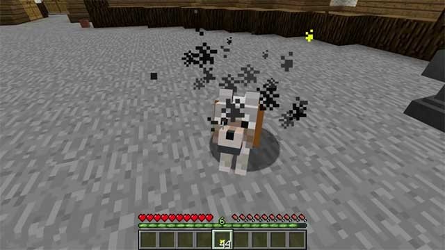 Bạn sẽ phải thuần hóa một con sói để có được trải nghiệm tốt nhất