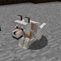 Bee Barker Mod - Biến sói thành ong trong Minecraft