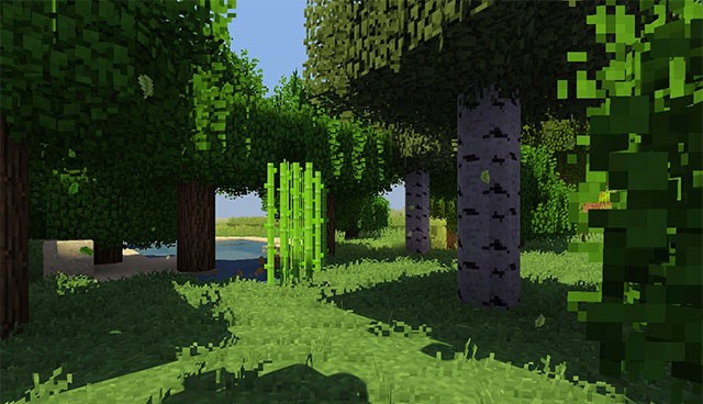 Lá cây, cỏ hiển thị đẹp hơn