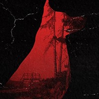 Beyond The Pines: Game phiêu lưu kinh dị tìm chó mất tích