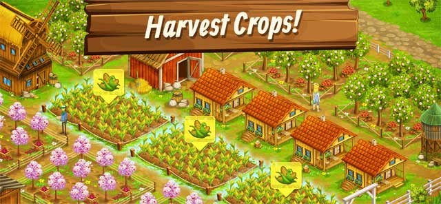 Trồng nhiều loại hoa màu khác nhau và thu hoạch nông sản