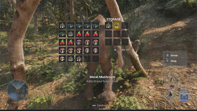 Hái nấm và quả mọng, bắt cá, bẻ cành cây... để làm thức ăn và tài nguyên xây dựng trong Bigfoot Life