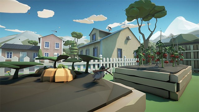 Xây tổ để sẵn sàng chào đón những chú chim non