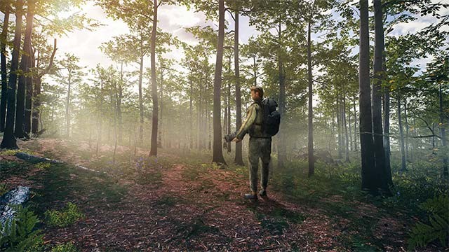 Phiêu lưu lạc lối giữa thế giới tự nhiên tươi đẹp trong khi chơi Birding Simulator game