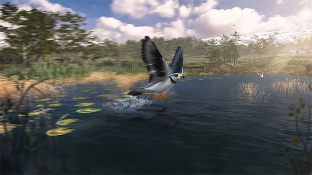 Ghi lại những khoảnh khắc thú vị của các loài chim trong khi chơi Birding Simulator