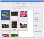 Bloom for Mac 3.5.2 - Phần mềm upload ảnh