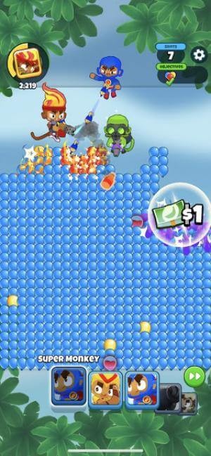 Chơi cùng những chú khỉ đáng yêu