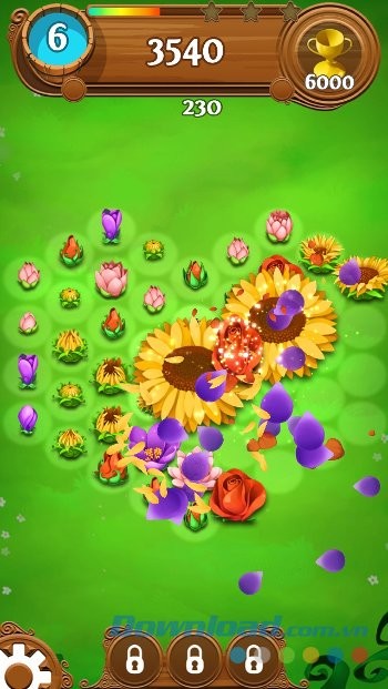 Hiệu ứng nở hoa