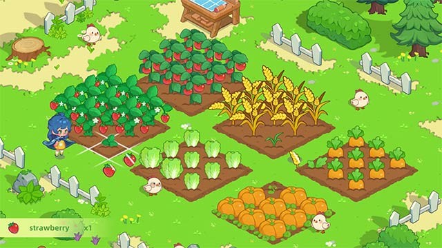 Tự tay trồng hoa, trồng cây ăn quả và hoa màu trong khu vườn Blossom's Grove