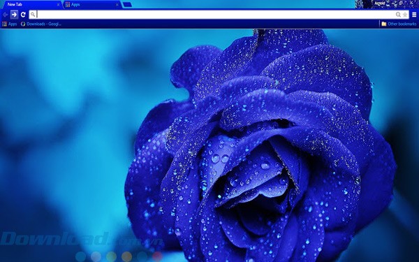 Hình ảnh bông hồng xanh của theme Blue Rose cho Chrome