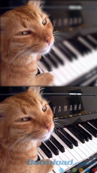 Sử dụng cử chỉ đơn giản