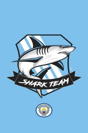 Hinh nen Manchester City cho dien thoai 45