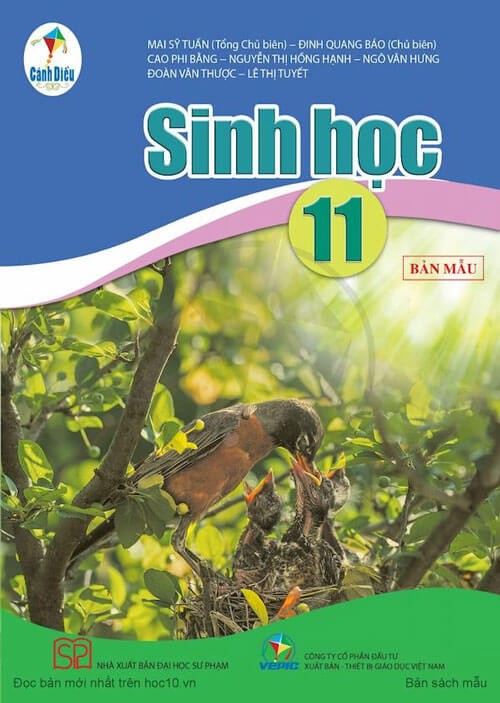 Sách Sinh học 11 Cánh Diều