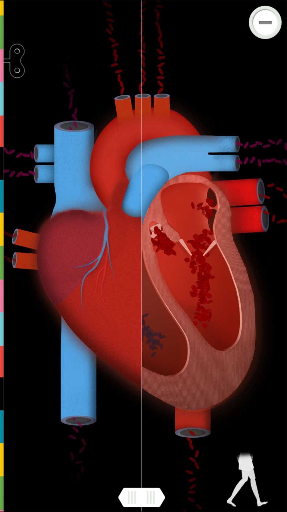 The Human Body by Tinybop cho iOS có nhiều mô hình tương tác