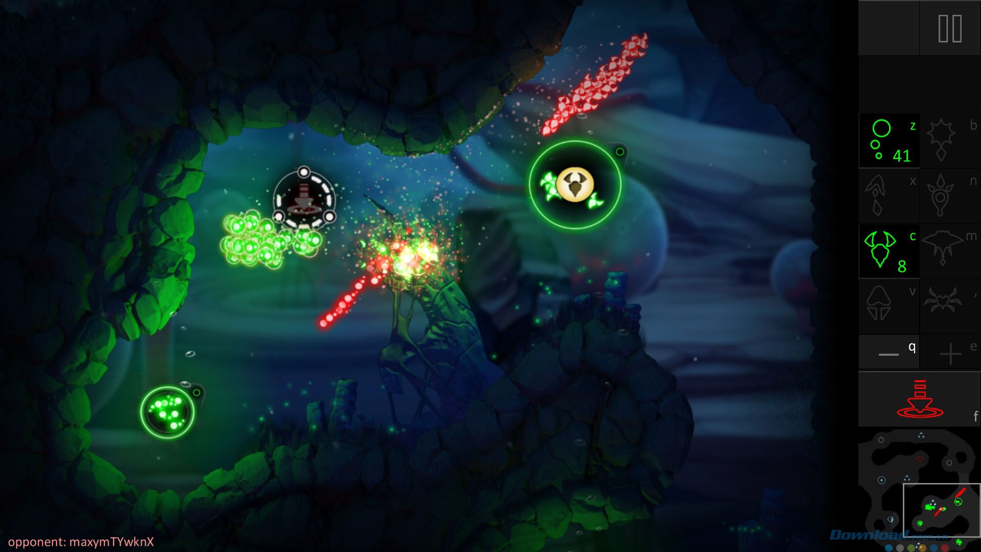 Hình ảnh cuộc chiến đẹp mắt