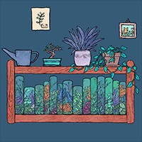 Books in Wrong Places - Game phiêu lưu giải đố độc đáo