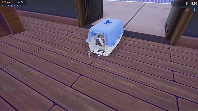 Nuôi một chú mèo để làm bạn với ông chủ cũng như khách hàng