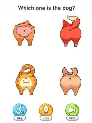 Brain Go 3 là game trí tuệ thách thức bộ não của bạn