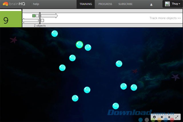Thử tài tập trung với nhiệm vụ dõi theo 2 quả bóng