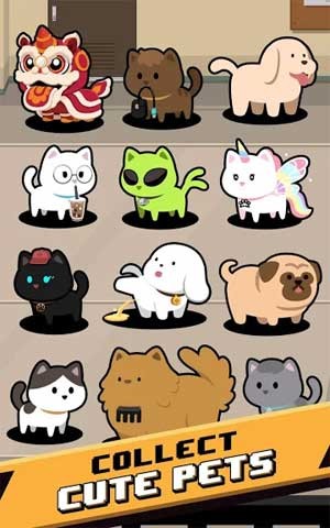Thu thập thú cưng dễ thương