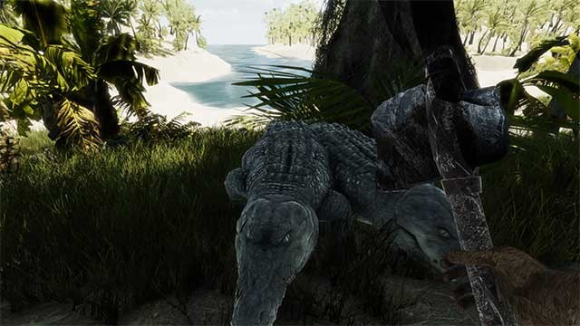 Chiến đấu với vô số loài vật hung hãn luôn muốn tấn công bạn