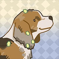 Bubble Dog: Game Chăm Sóc Thú Cưng Thư Giãn