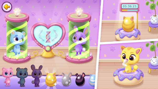 Ấp nở và tạo ra nhiều người bạn thú cưng mới