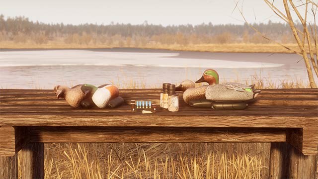 Săn bắn các loài chim trên mặt nước