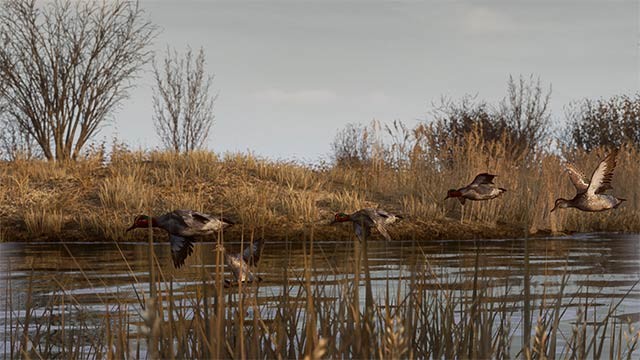 BULT: Hunting Simulator sở hữu lối chơi tự do phóng khoáng