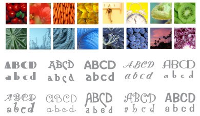 Bộ sưu tập phong phú của Business Card Composer