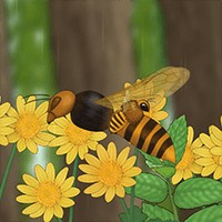 Busy Bee: Game Đàn Ong Sinh Tồn Trong Tự Nhiên